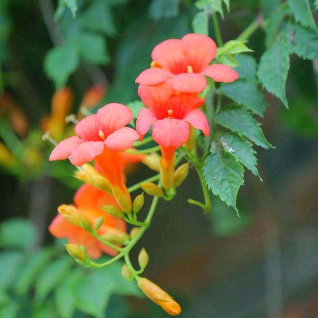 ❤️有多大舞台就有多大