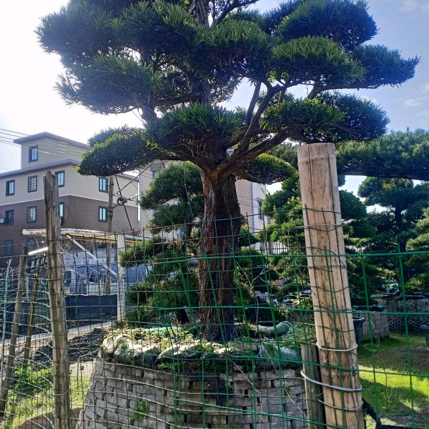 ,一见钟情