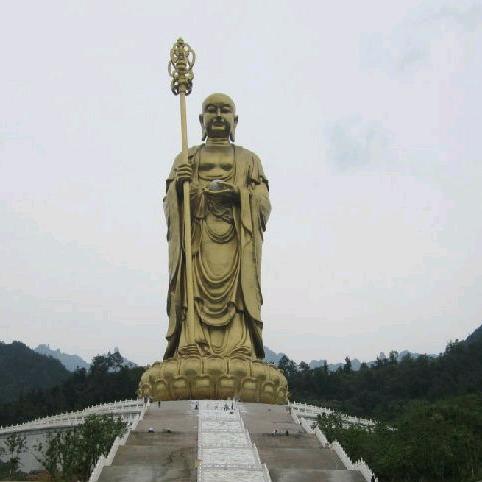悟者