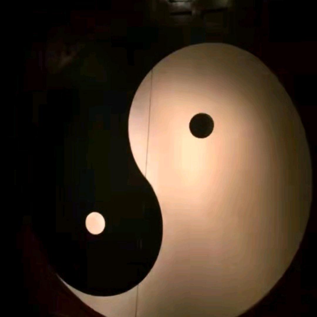太极之光