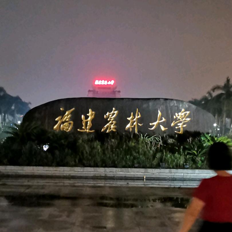 宁静成