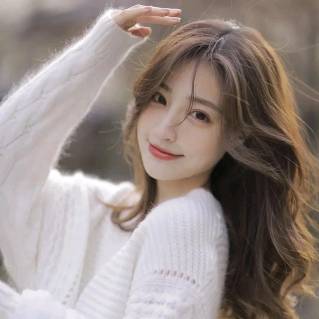 佳丽511