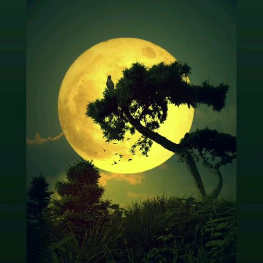 ☀少扯犊子多赚钱☀