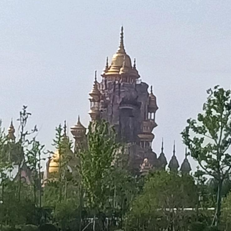 今天的阳光太明媚!