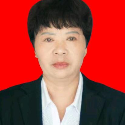 古村甜园 村书记