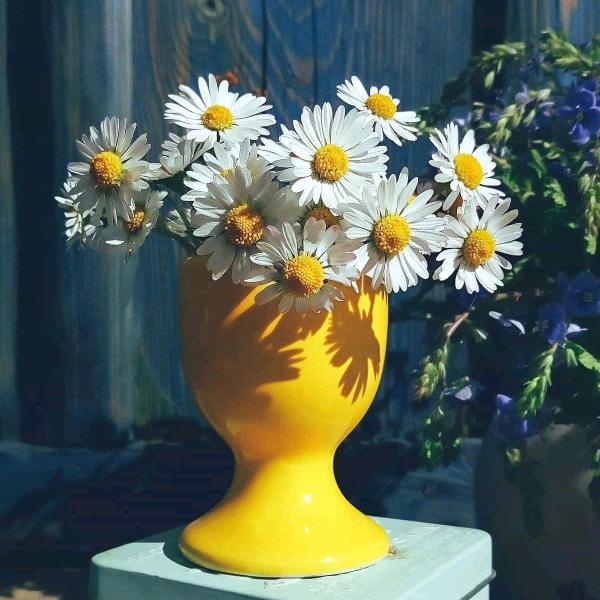 春暖花开