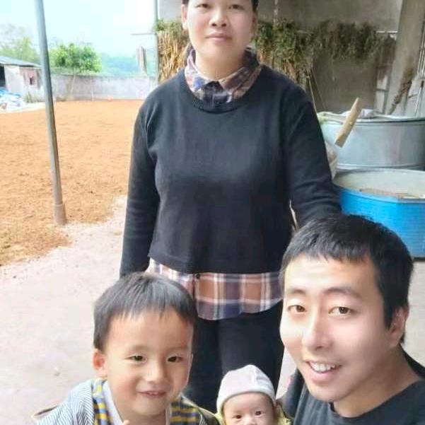 出售仔猪