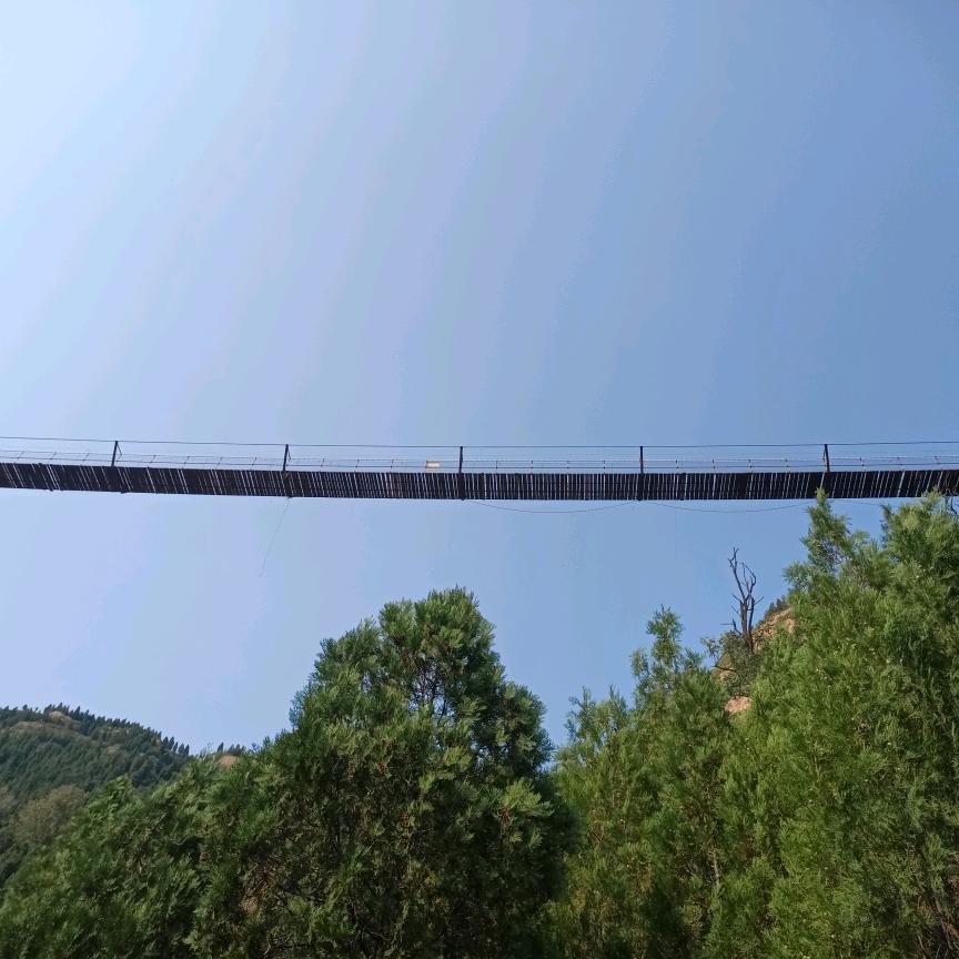 小小