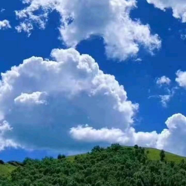成长