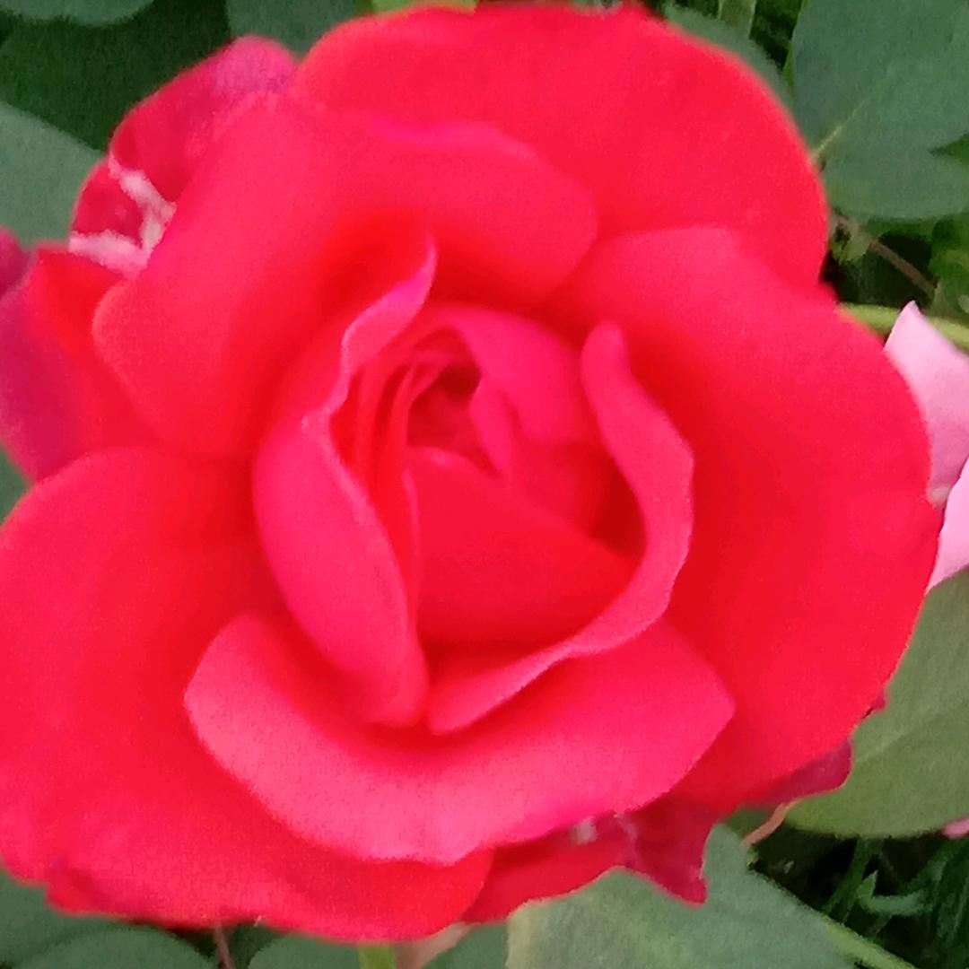 🍒许你一生🍒