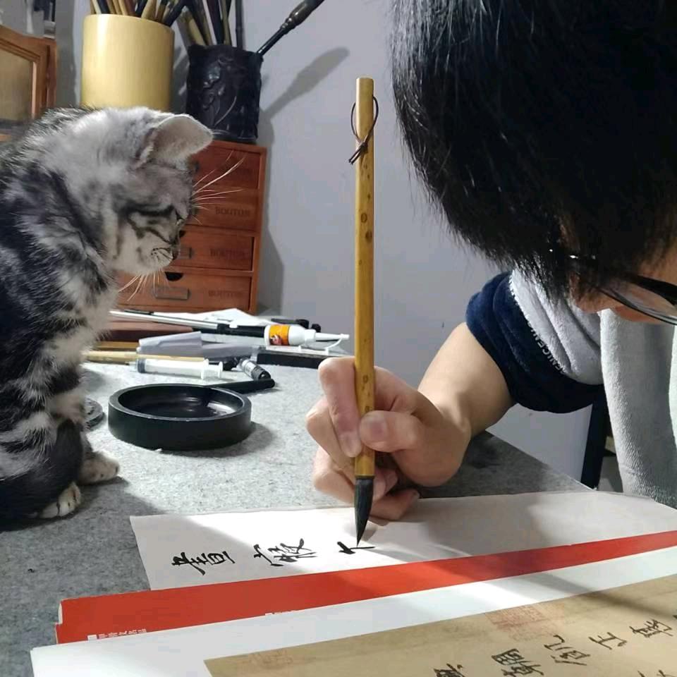 涉川
