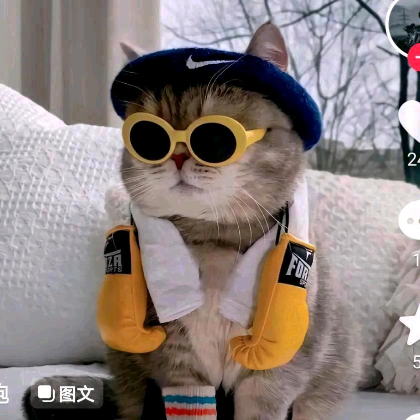 白泽