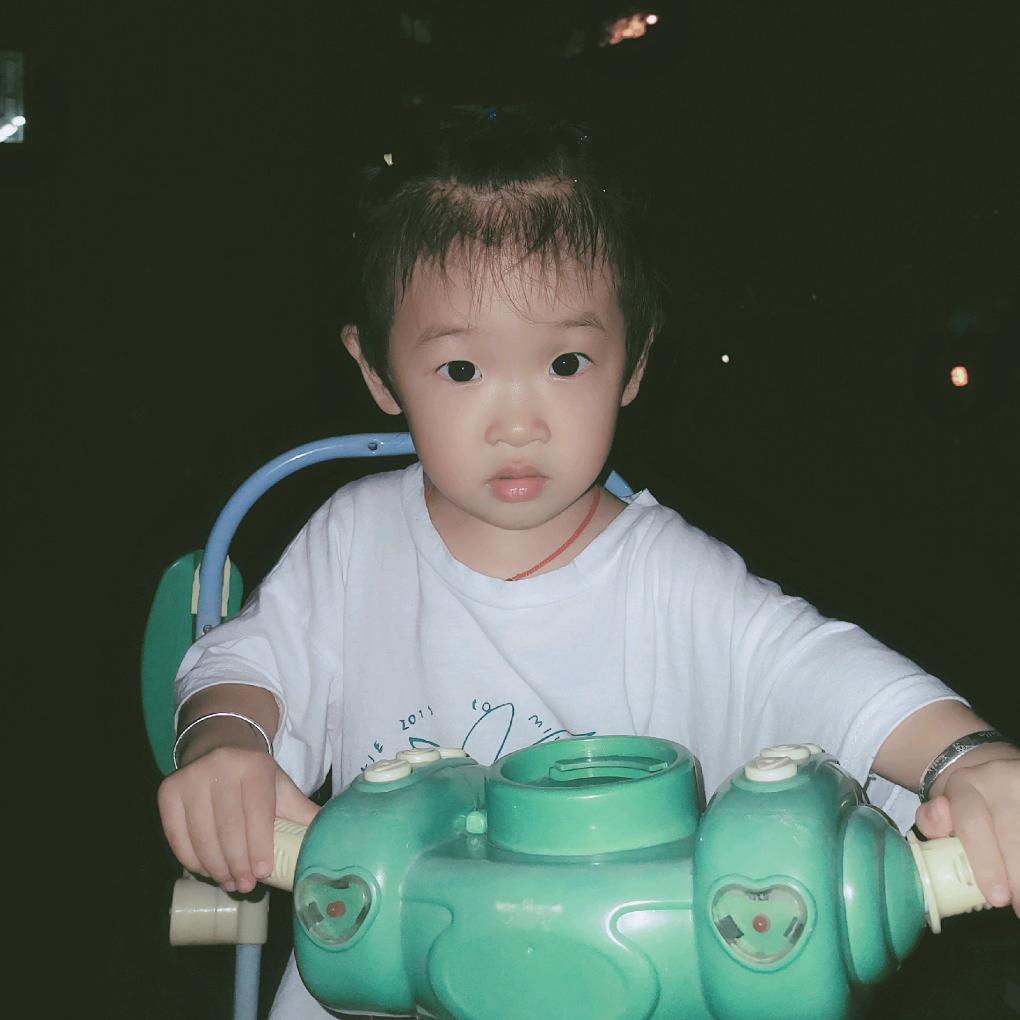 🌹 是敌是友别是🐶 。