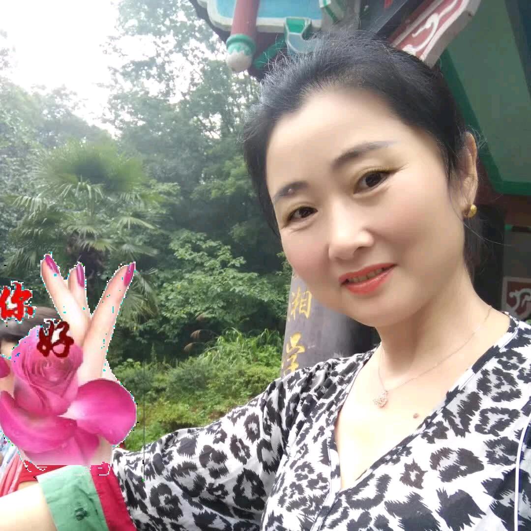灵芝草