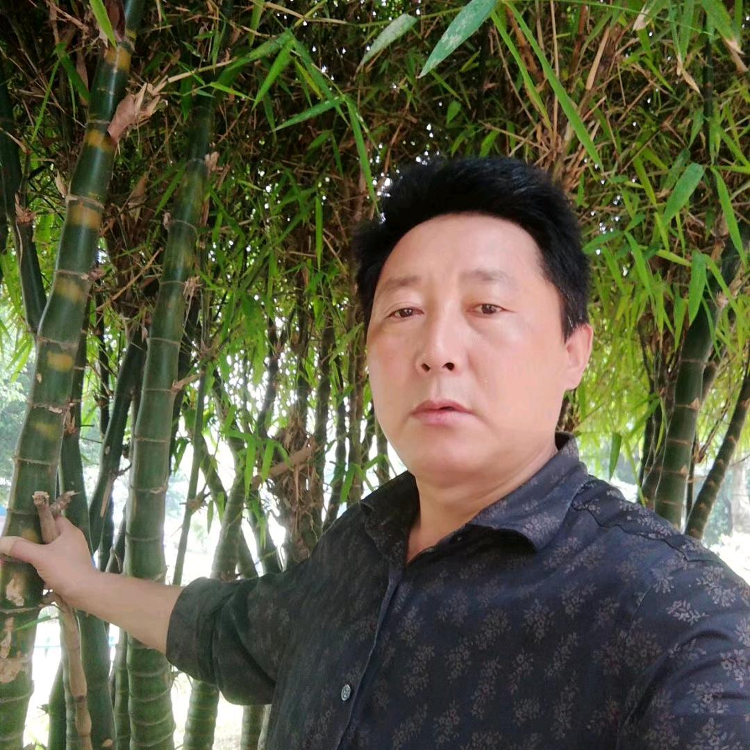 王哥在上海
