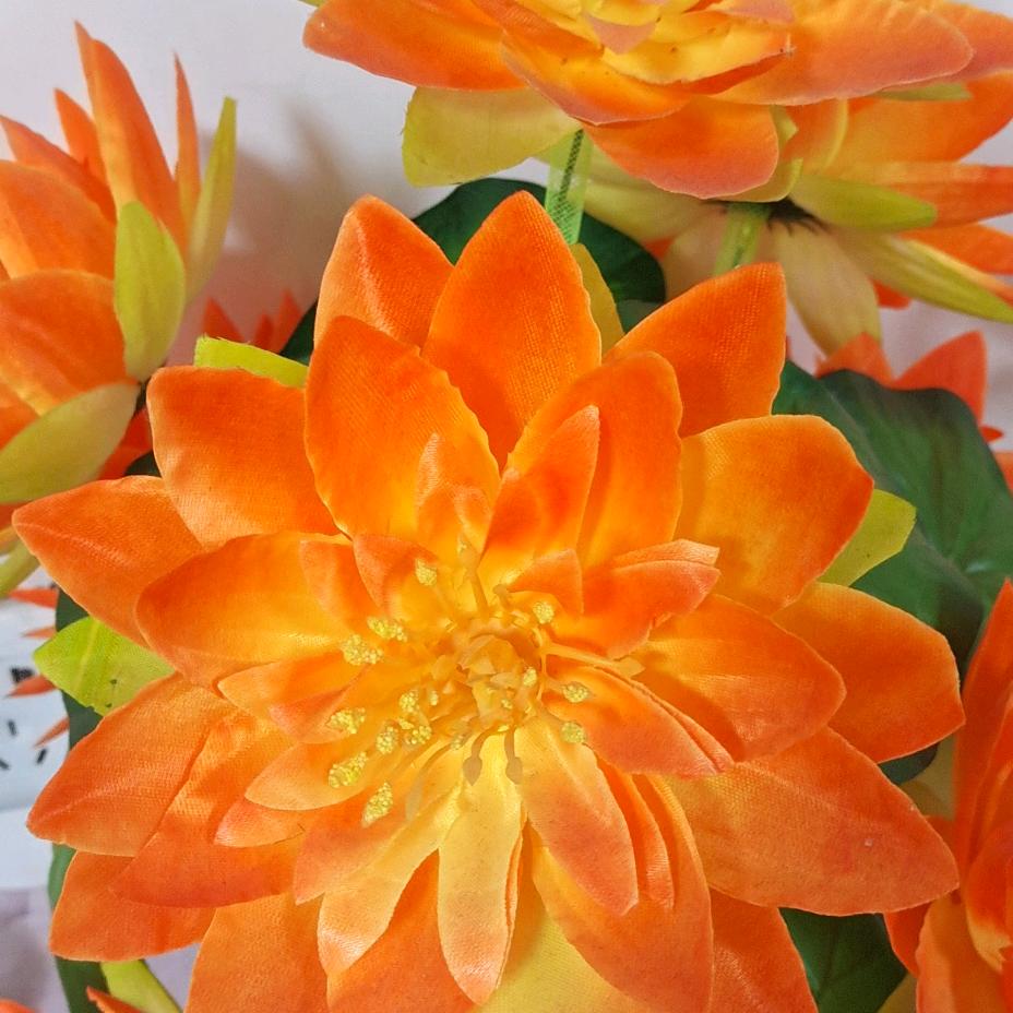 邓丽君