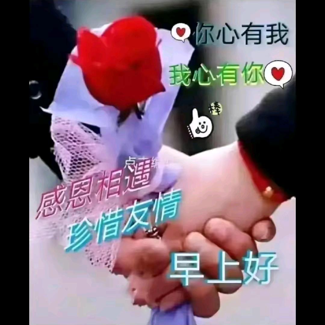 真爱永存_78072