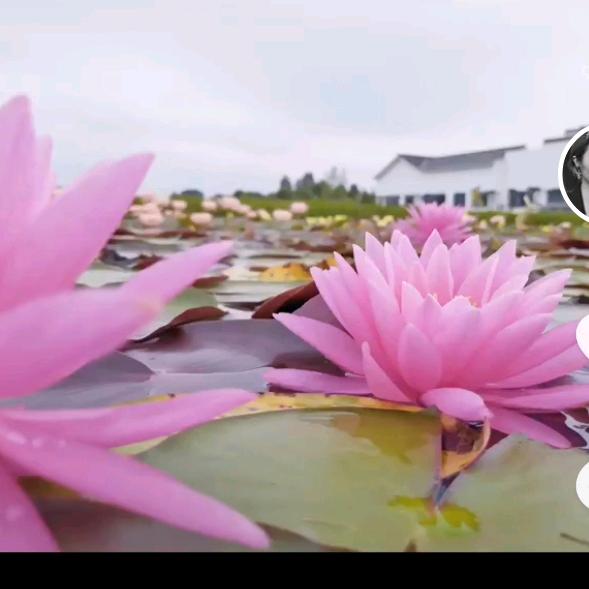 知足常乐李奶奶