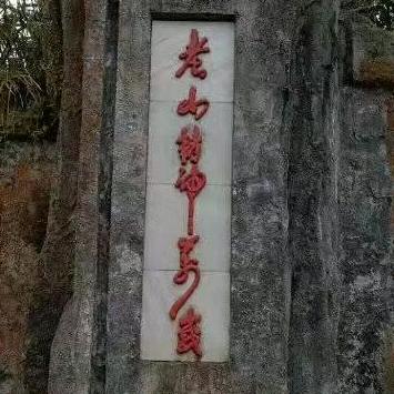 玥楠问题行家