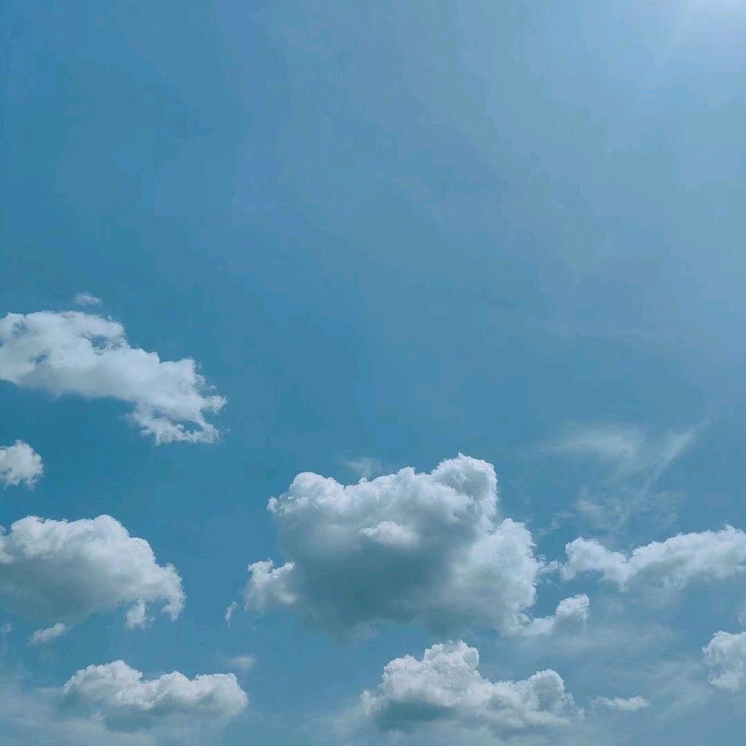 呆妹子