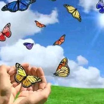 平平淡淡就是真