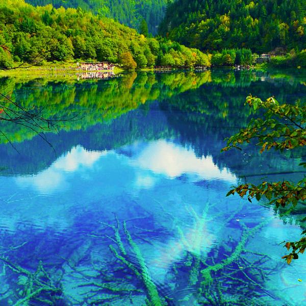 离殇，山歌爱好者