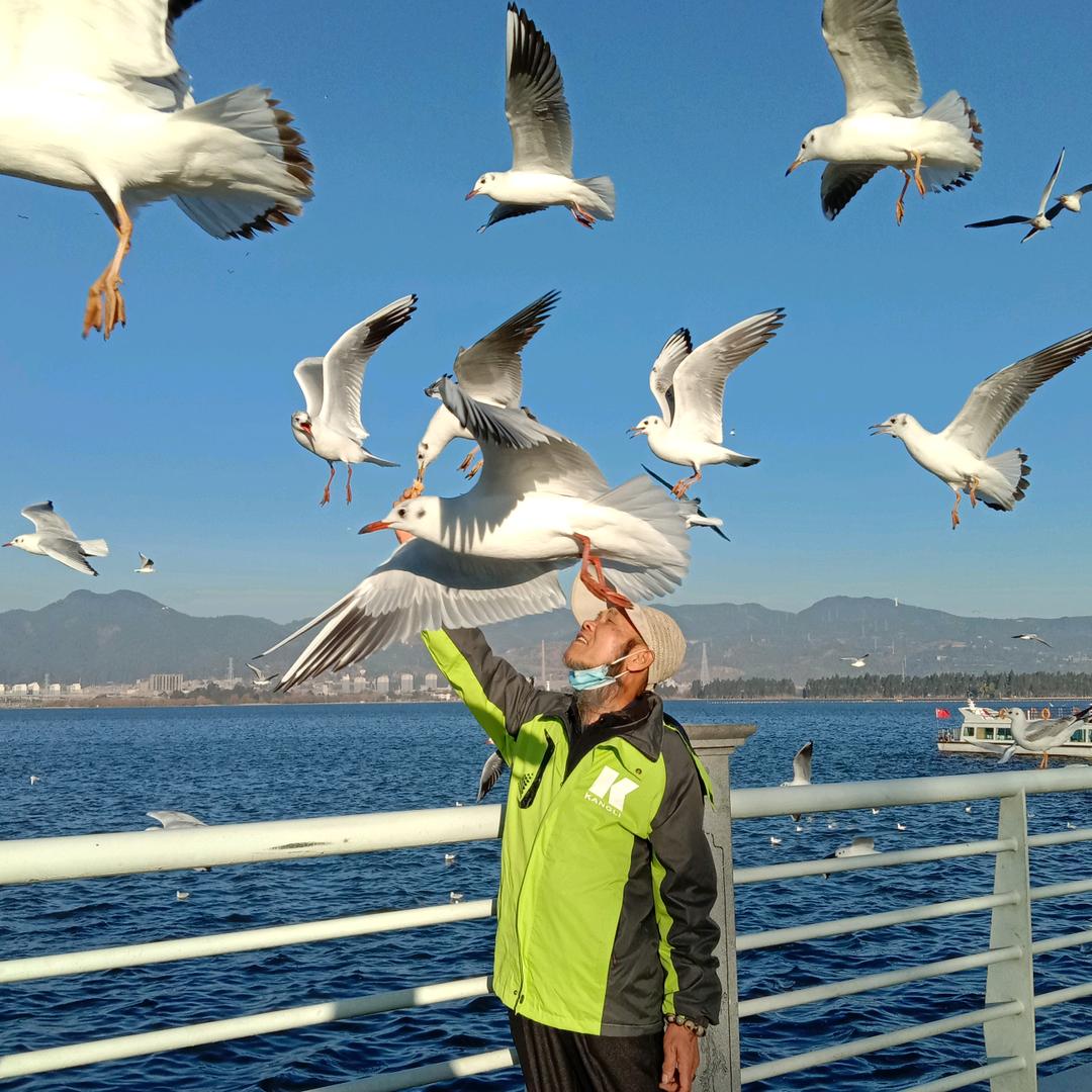 退伍军人老李（请勿连赞）