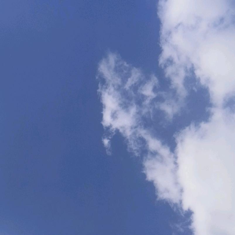 塞外柳绵吹又少