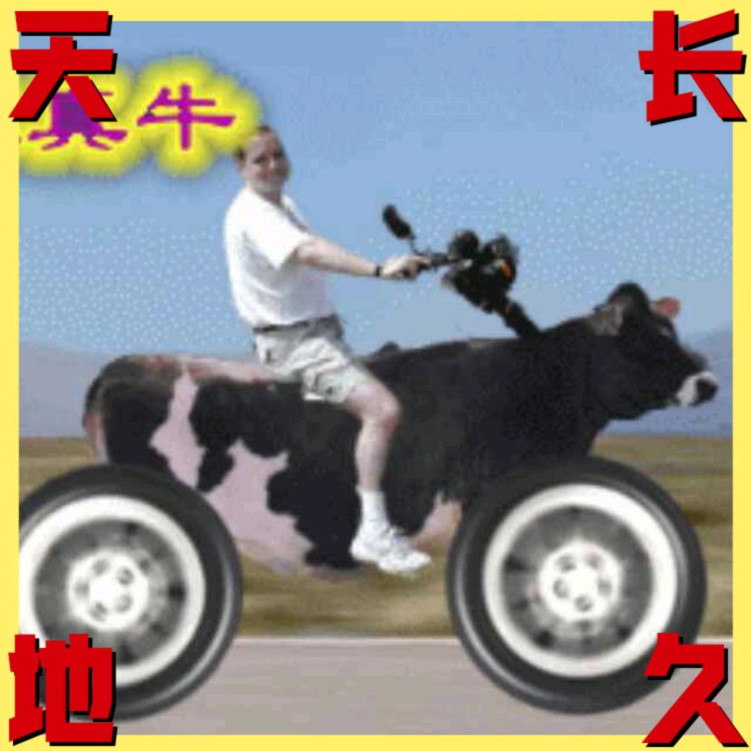 （海阔天空）