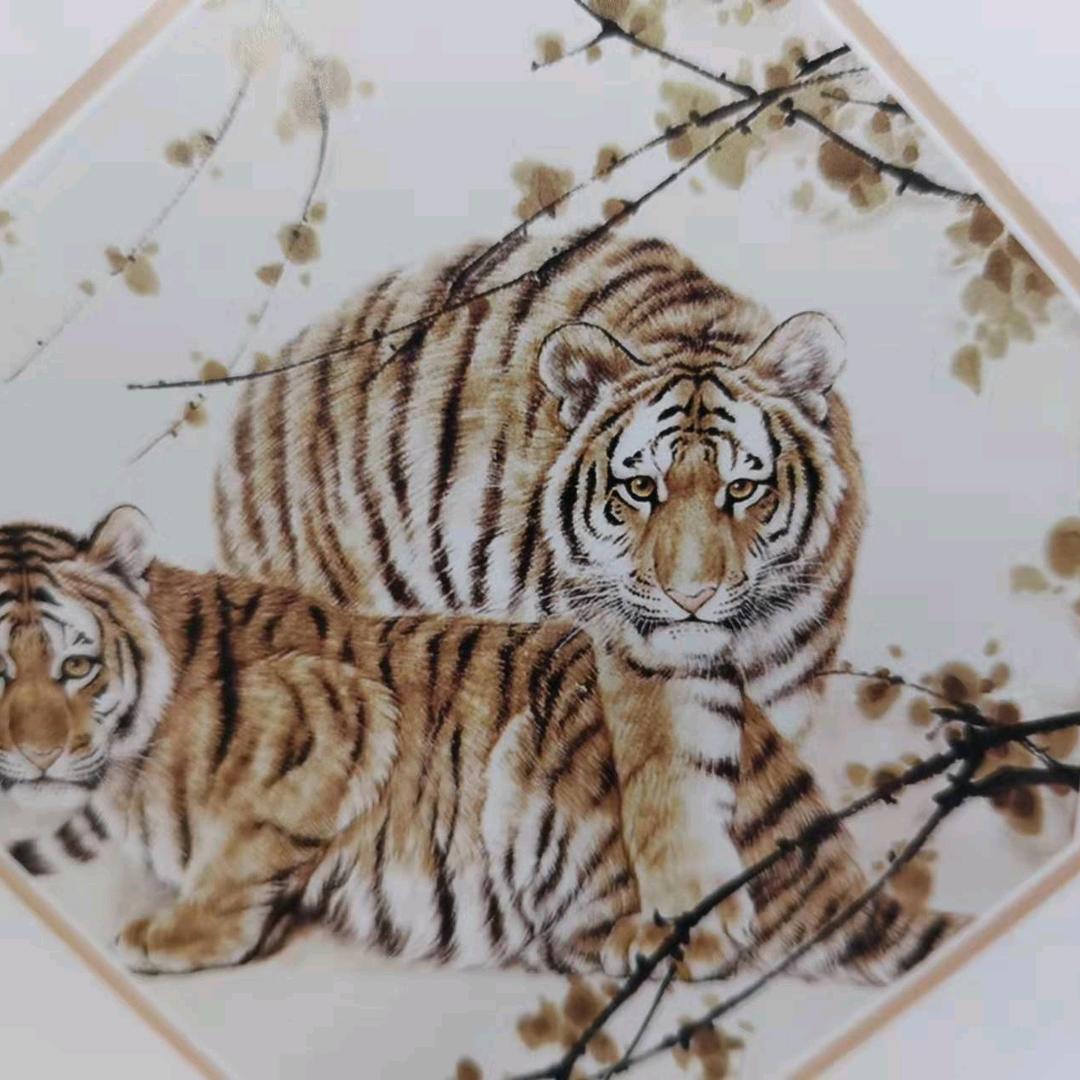 冯飞