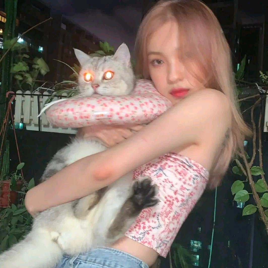 悲伤𝙆𝙞𝙩𝙩𝙮猫.