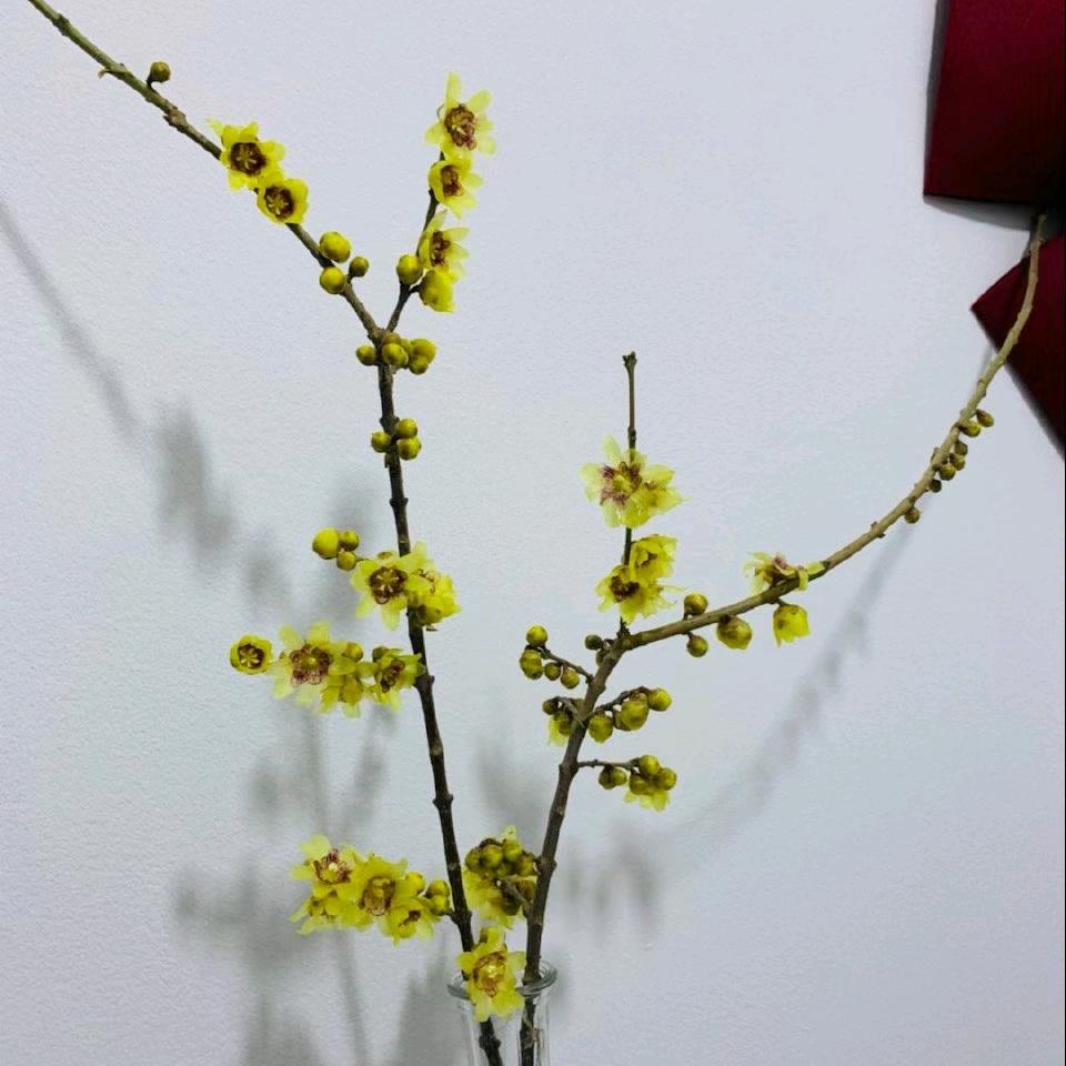 凌寒✍🏼磨砺