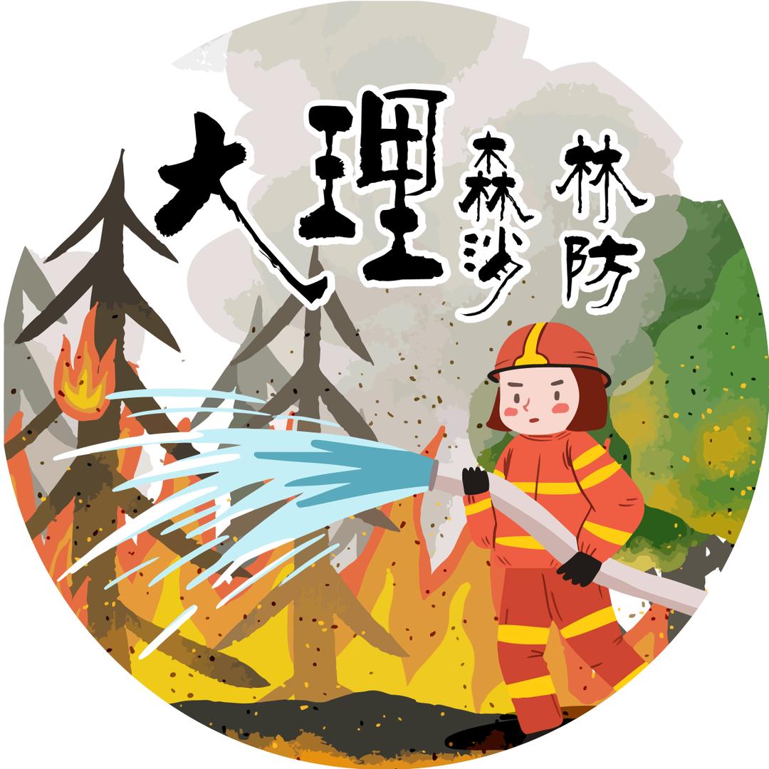大理森林消防