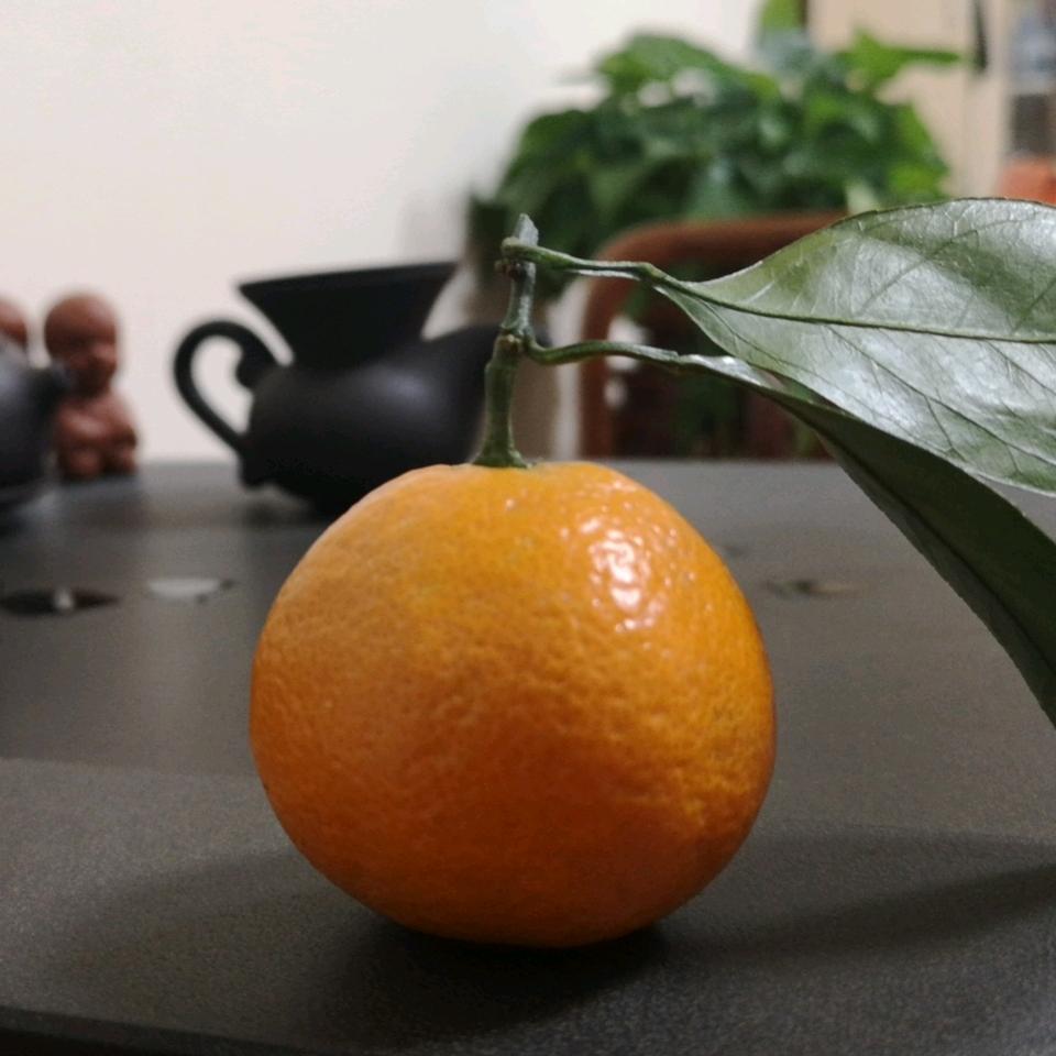 一切都好