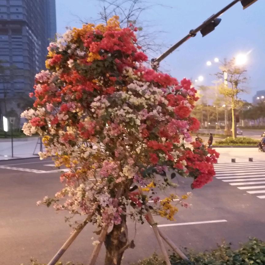 余生都是李㈢㈥先生