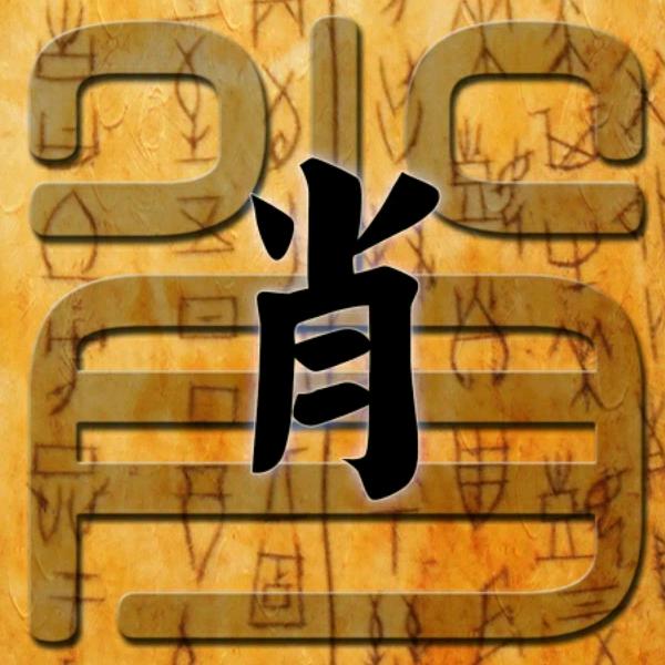 随风飞翔。