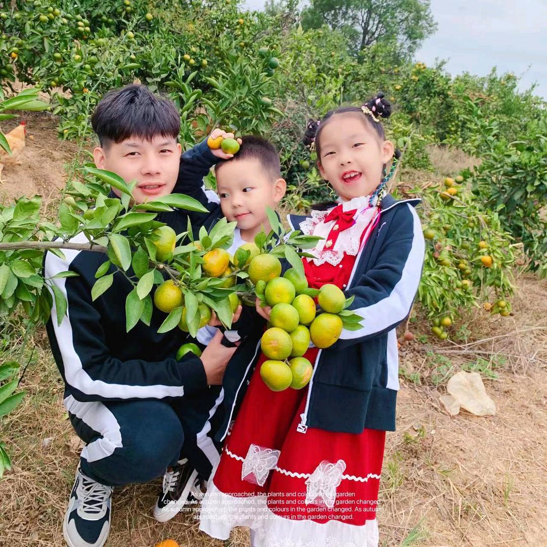 🍀劉连💞忘返🌴