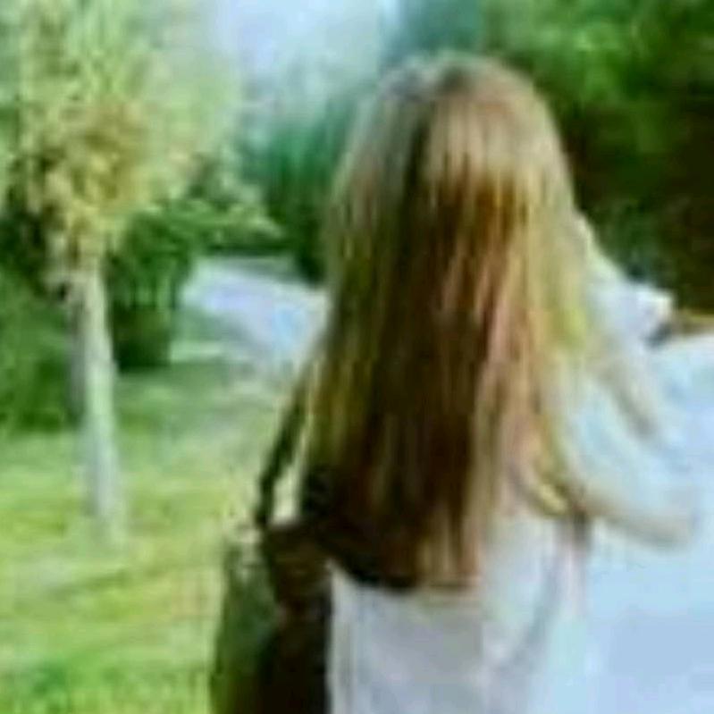 汉中菜籽，菜饼购销