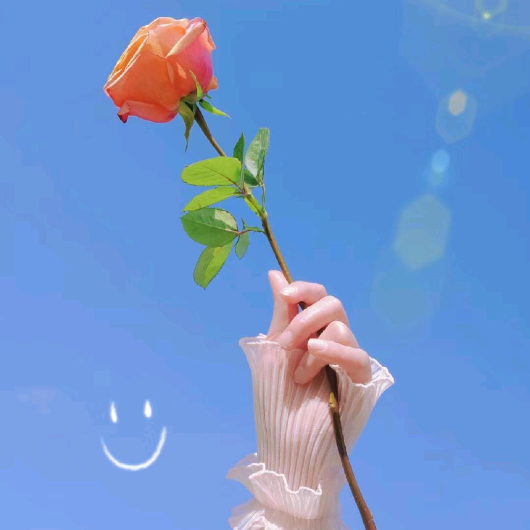 浮萍若梦