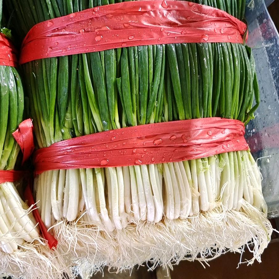 @专业代收购小香葱（王双红）
