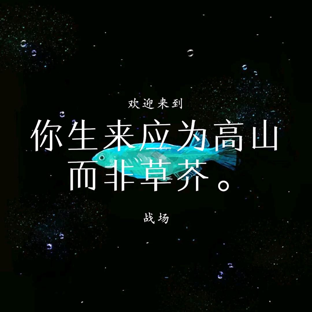 扫戴斯乃__"