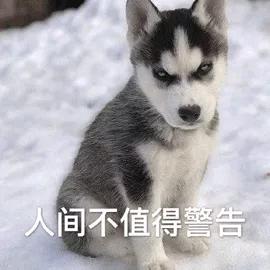 红果第一赘婿头像