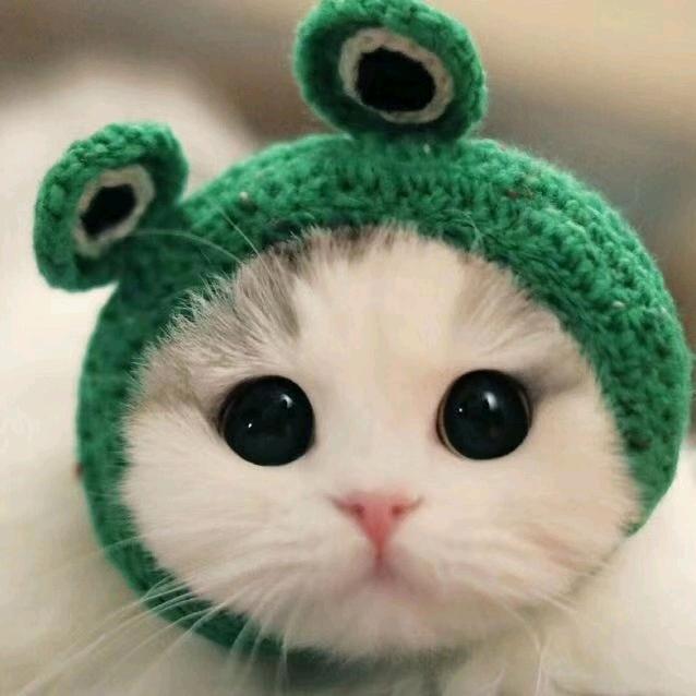 静静