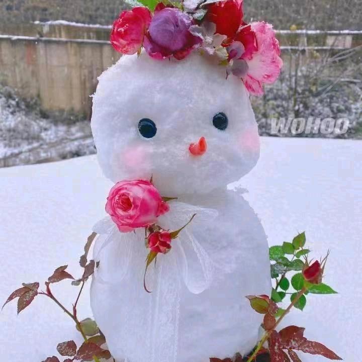 🌹🌹健康幸福🌹🌹
