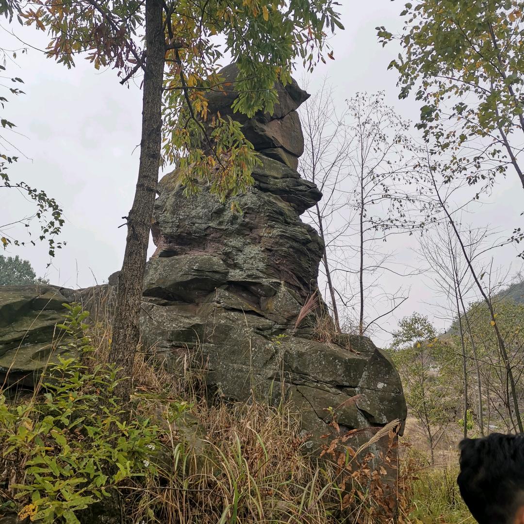 一言难尽