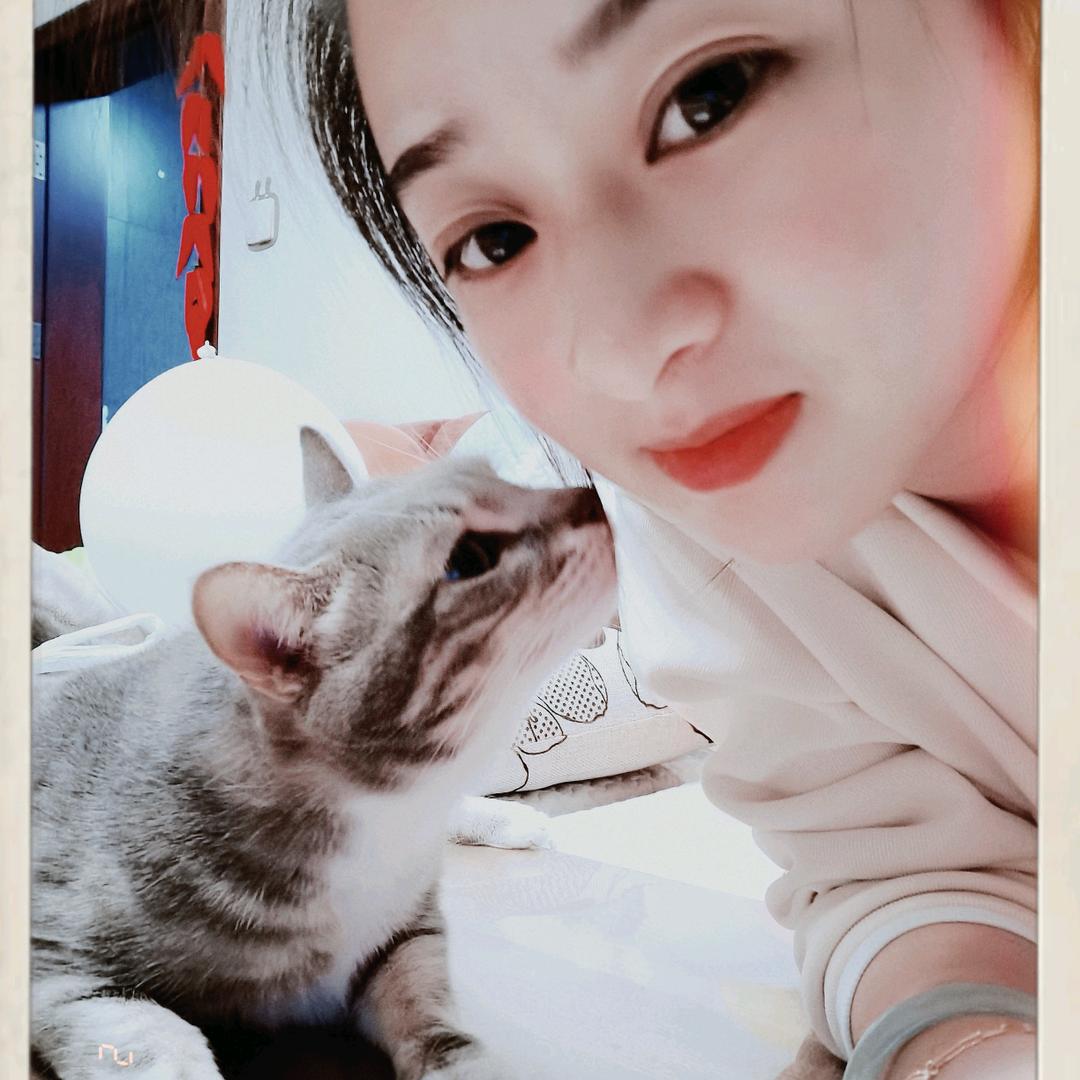 家有粽子一枚 很粘人