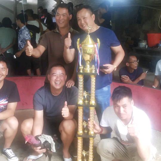 এ杯中烈酒໌ᮨ敬余生དྷ༗