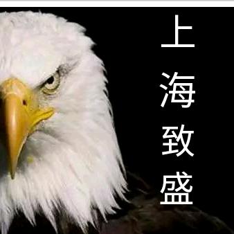 上海致盛专业汽车钣喷