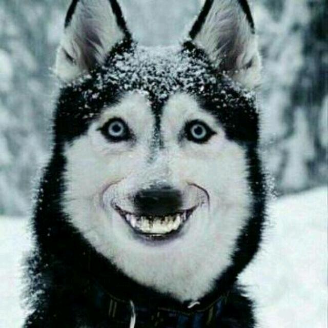 烽火狼烟