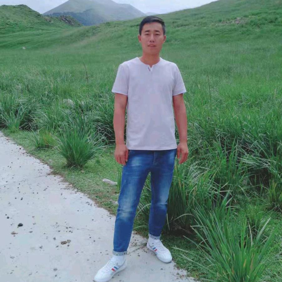 离家的羔羊